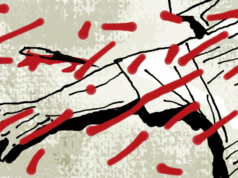 Ex-vice-chefe da aldeia assassinado em Jharkhand: o que sabemos