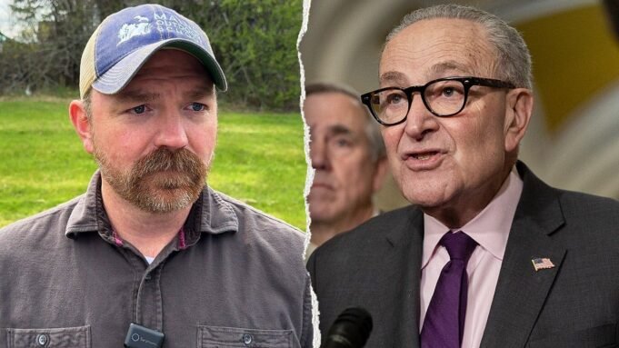 platner-schumer-split.jpeg