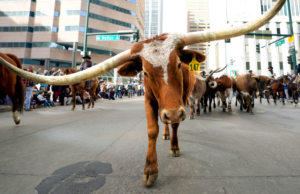 O prefeito de Dallas, Eric Johnson, diz que Nova York pune o sucesso e lança ‘Yale Street’