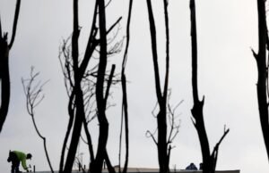 Uma trégua nas guerras dos incêndios florestais aparece em “Hands Off Our Yards”.