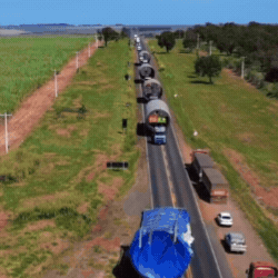 6a1e0916e127c.gif
