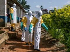 Brasil. Viajantes que regressam de África preocupam-se com o vírus Ébola em Itália