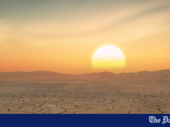 ONU alerta sobre riscos extremos de calor causados pelo El Niño e pede preparativos