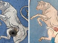 Restaurador nega ter removido testículos “da sorte” do mosaico de touros de Milão
