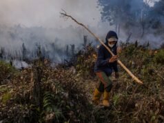 El Niño se aproxima, ONU diz ao mundo para se preparar para notícias climáticas extremas