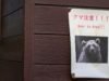 Ursos negros japoneses invadiram duas fábricas e uma área residencial, ferindo quatro pessoas