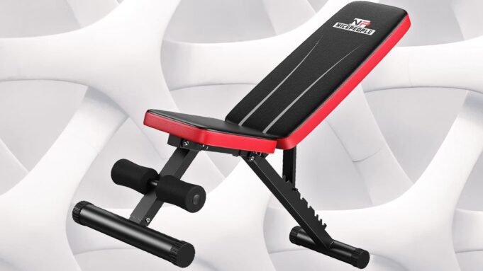 nicepeopleweightbench-1780348620259.jpg
