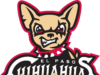 Condon acerta home run para Albuquerque no domingo